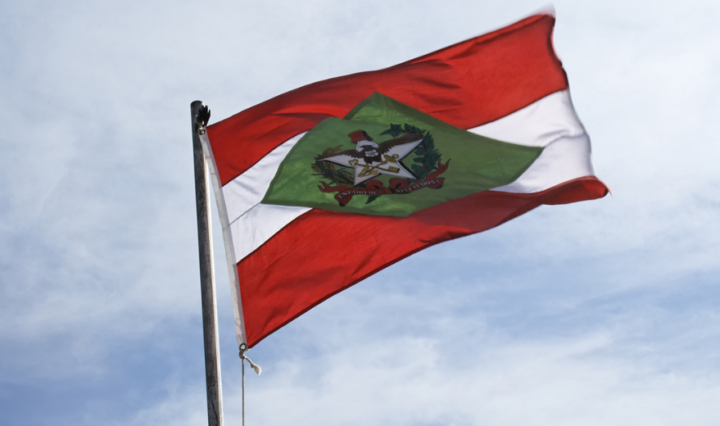 Reprodução | Canva