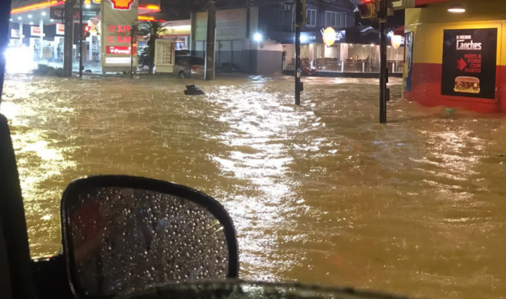 Vídeo: Reprodução