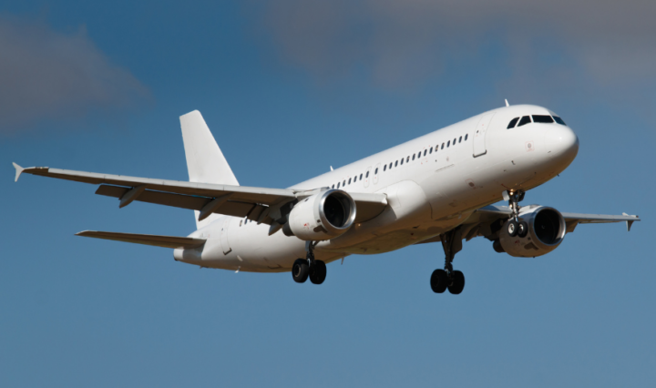 Foto: Reprodução / Canva