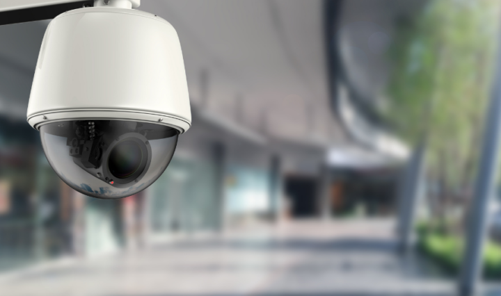 Foto: Reprodução / Canva