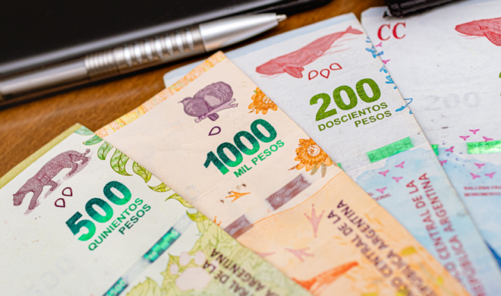 Foto: Reprodução / Canva