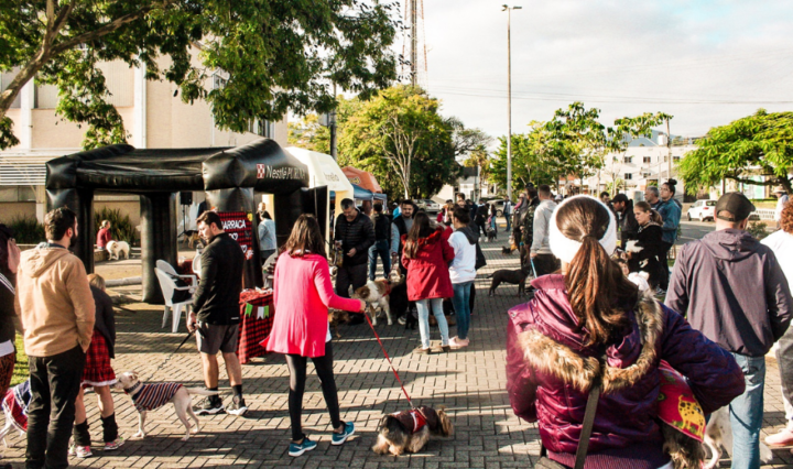 Foto: Reprodução/Prefeitura de Indaial