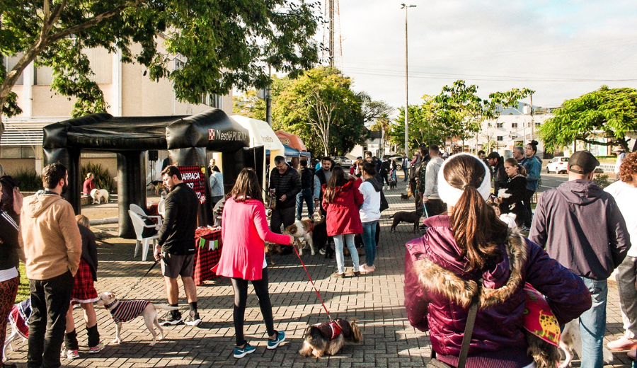 Foto: Reprodução/Prefeitura de Indaial