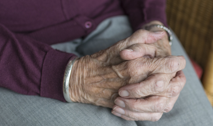 Foto: Reprodução / Canva