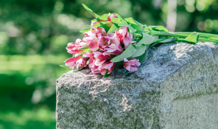 Foto: CANVA / Reprodução