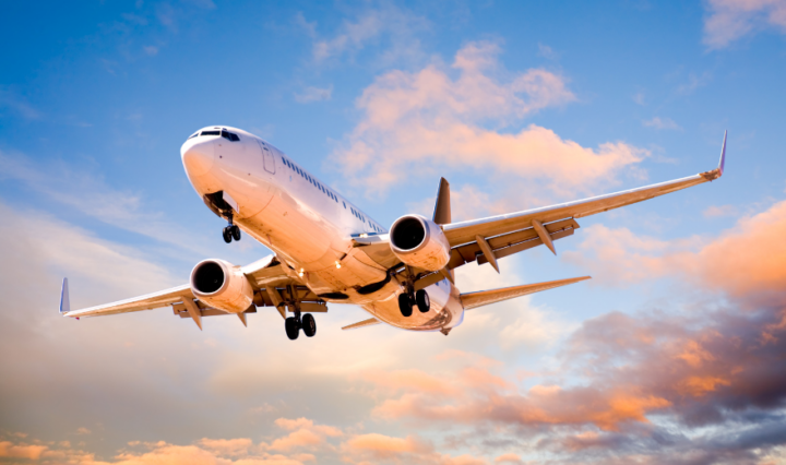 Foto: Canva / Reprodução