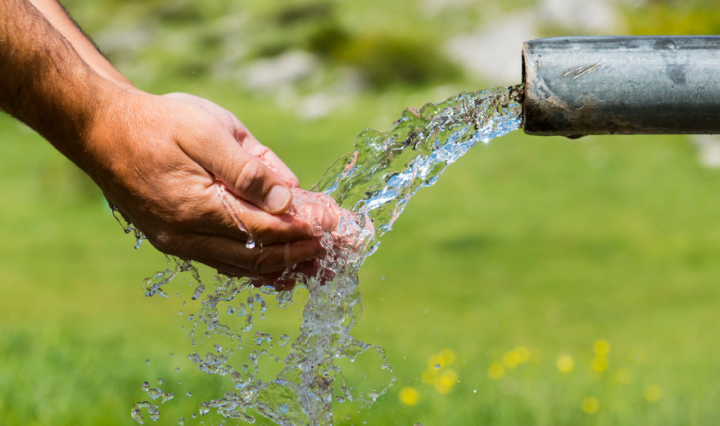 Reprodução | Canva