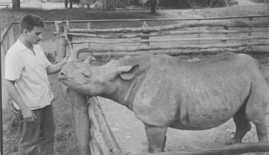 Foto: Agência O Globo 08/02/1958 / Reprodução